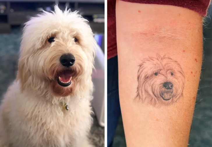 Illustration de l'article : Ces 16 photos de tatouages qui ont leur propre signification