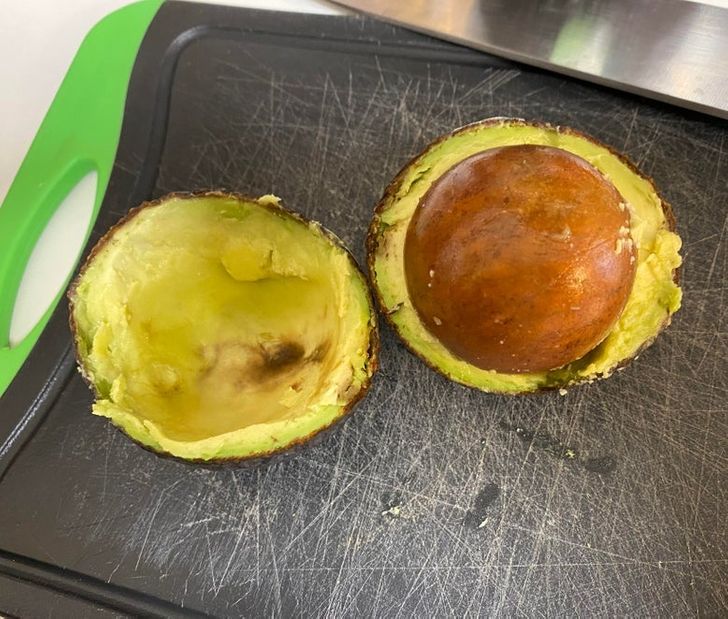 Illustration de l'article : Ces 19 photos qui ont le don de faire hérisser les poils