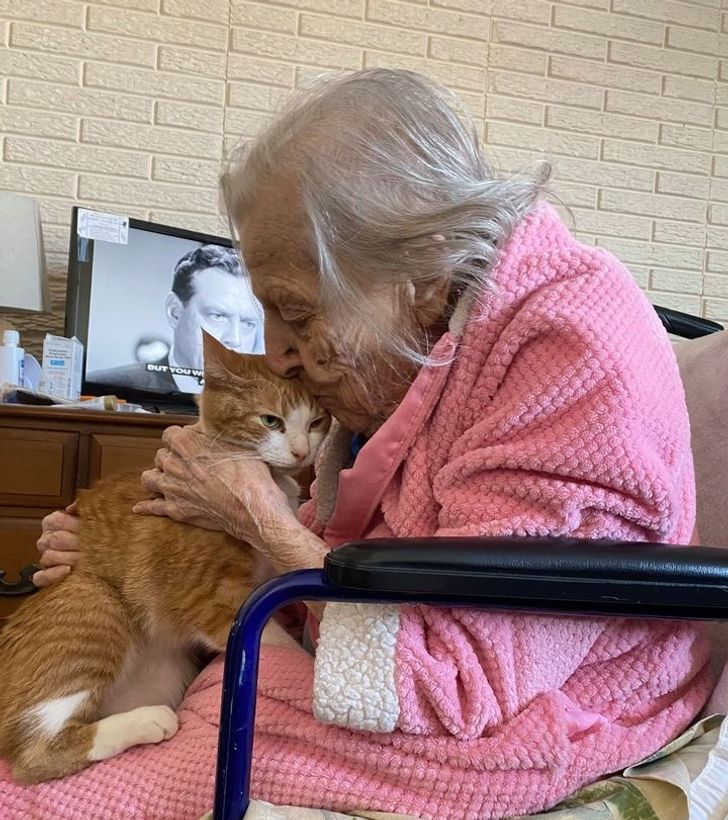 Illustration de l'article : Ces 16 photos qui réchauffent le cœur et illuminent la journée