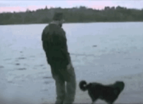 Illustration de l'article : 42 situations qui prouvent que le karma existe 