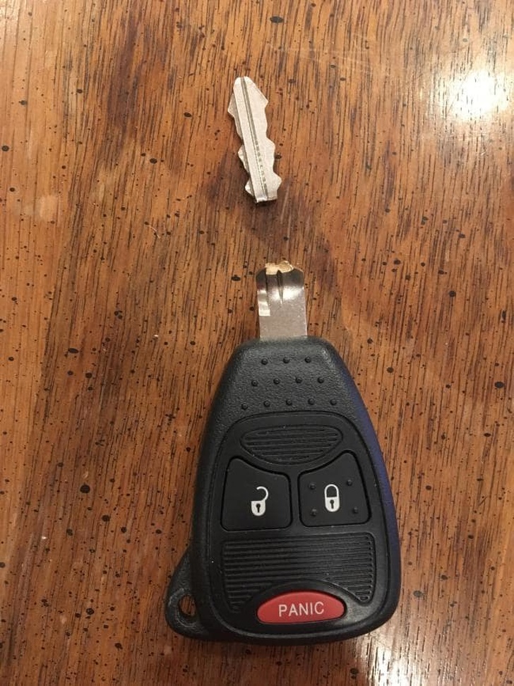 Illustration de l'article : Ces 24 photos de situations qu'il vaut mieux éviter coûte que coûte