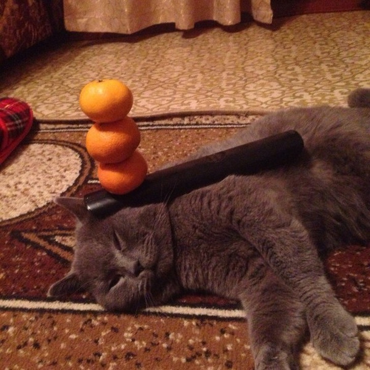 Illustration de l'article : Ces 13 personnes qui ne craignent pas le regard des autres