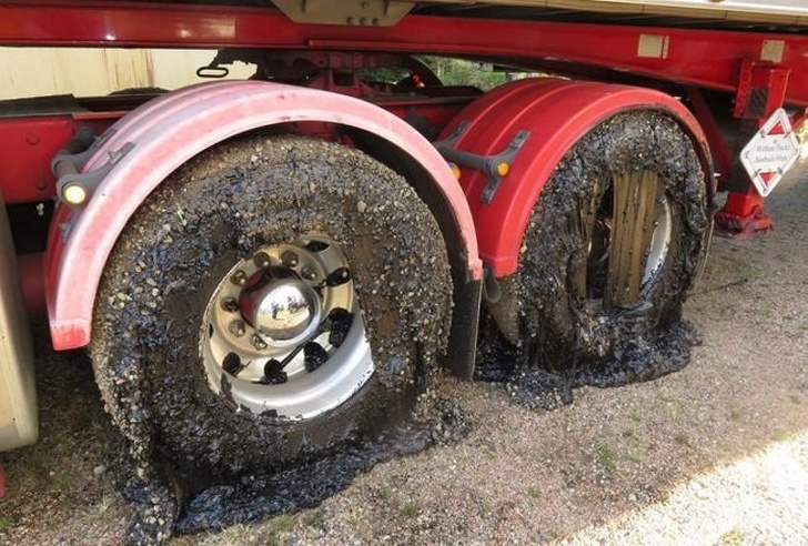 Illustration de l'article : Ces 21 photos qui montrent que l'été peut parfois être difficile à vivre