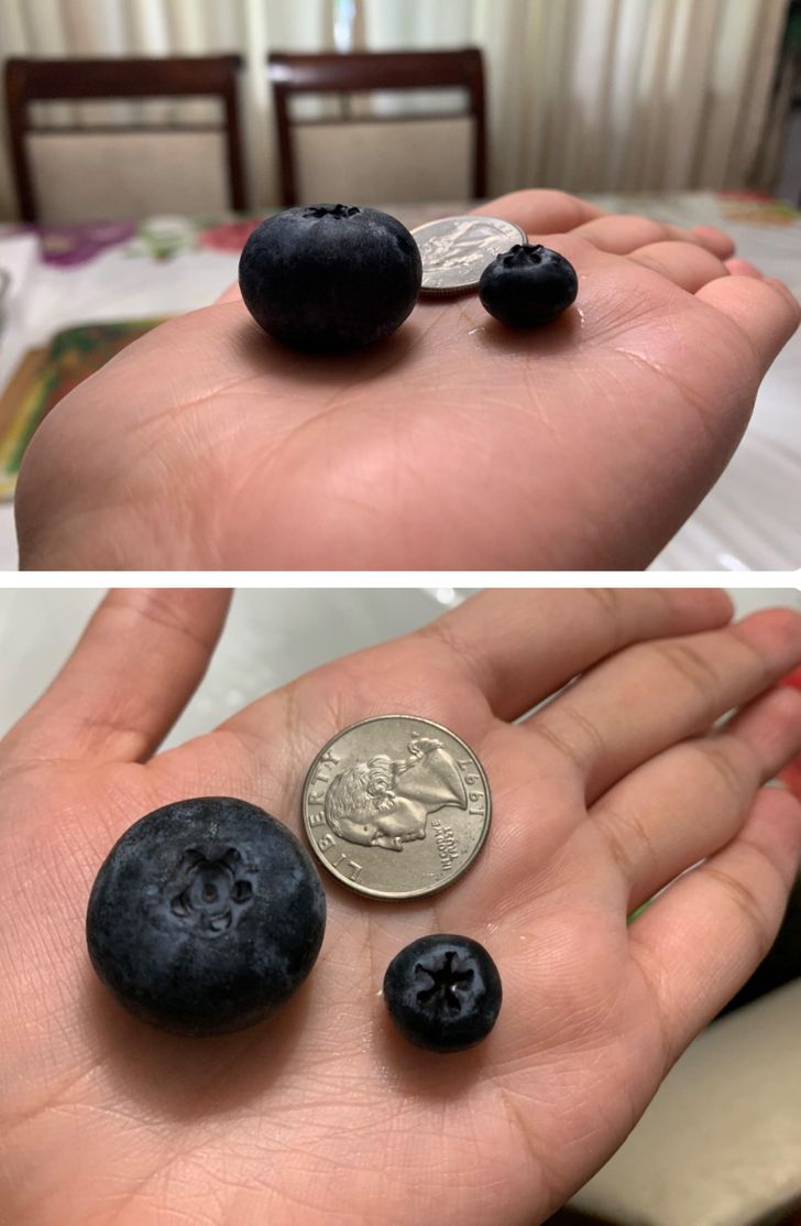 Illustration de l'article : Ces 16 photos qui illustrent la beauté et l'originalité de la nature