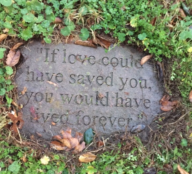 Illustration de l'article : 15 photos c&eacute;l&eacute;brant tout l'amour du monde