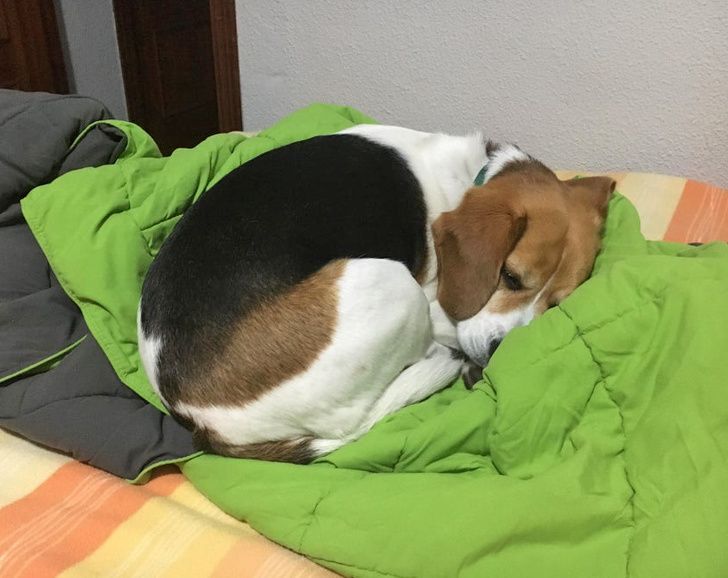 Illustration de l'article : Ces 20 personnes qui ont loué un logement de rêve pour leurs vacances