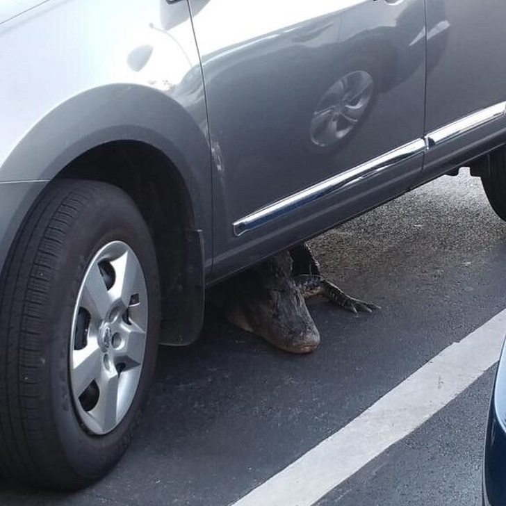 Illustration de l'article : Ces 21 images qui font froid dans le dos