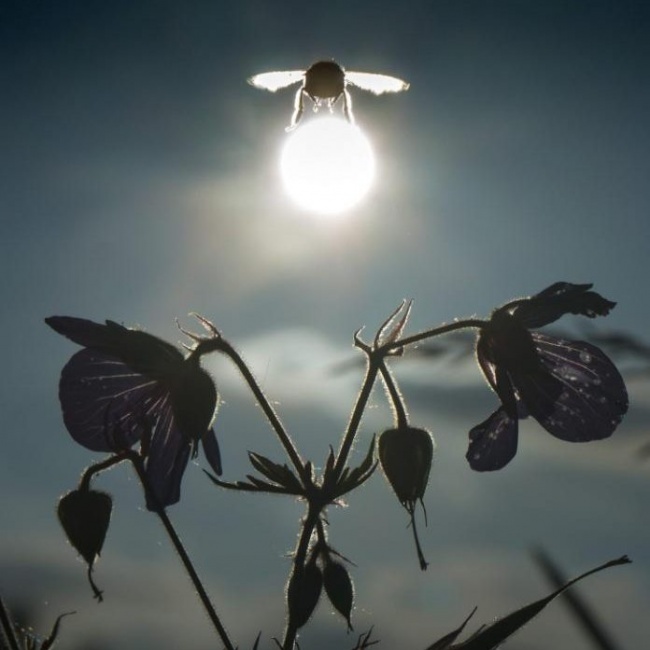 Illustration de l'article : 27 photographies de pros prises au bon endroit et au bon moment !