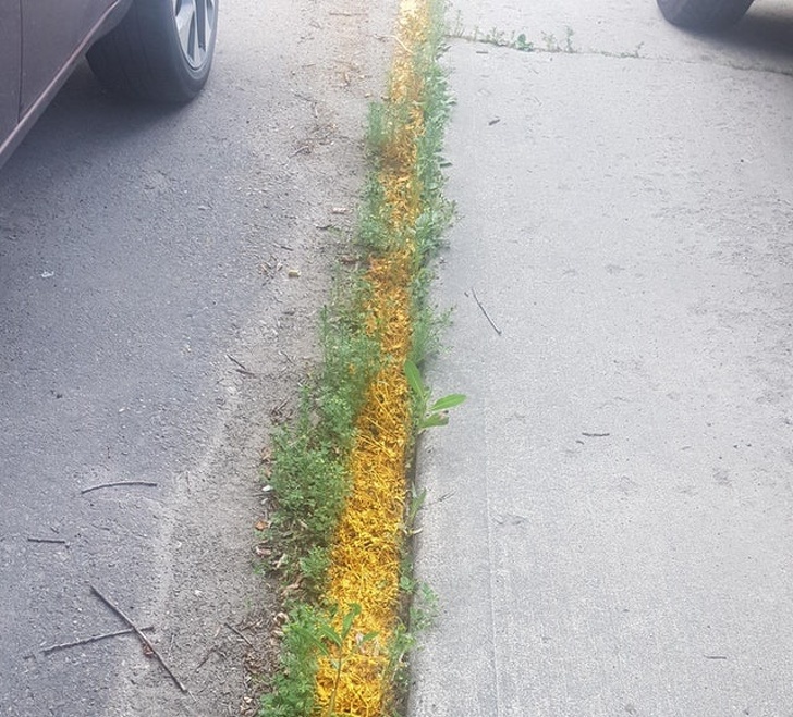 Illustration de l'article : Ces 21 personnes qui n'étaient pas motivées à travailler ce jour-là