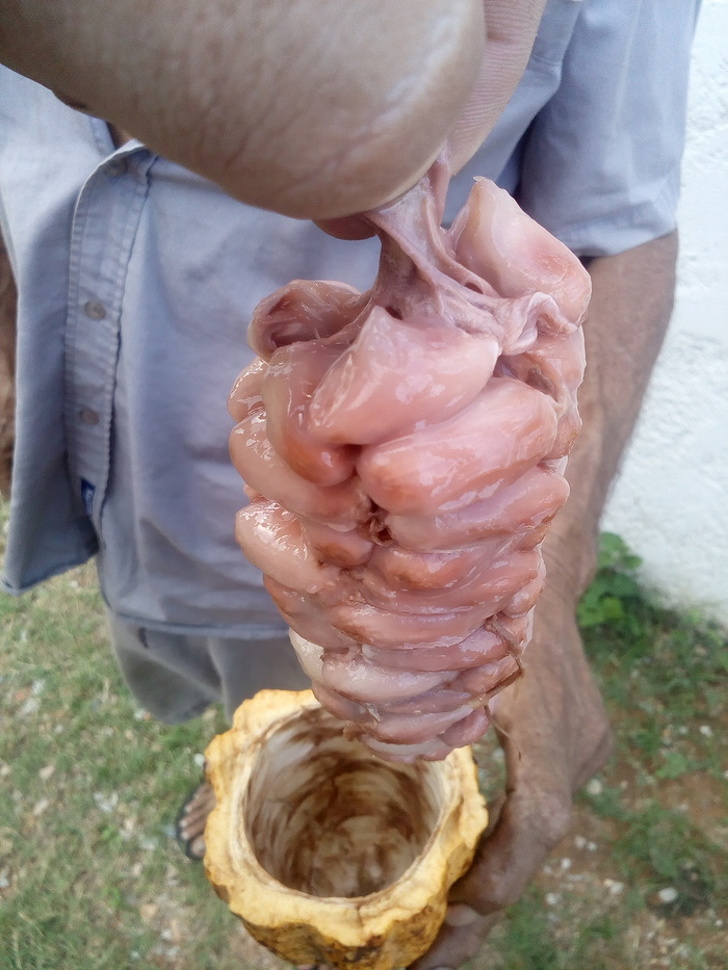 Illustration de l'article : Ces 16 choses absurdes prises en photos par les internautes