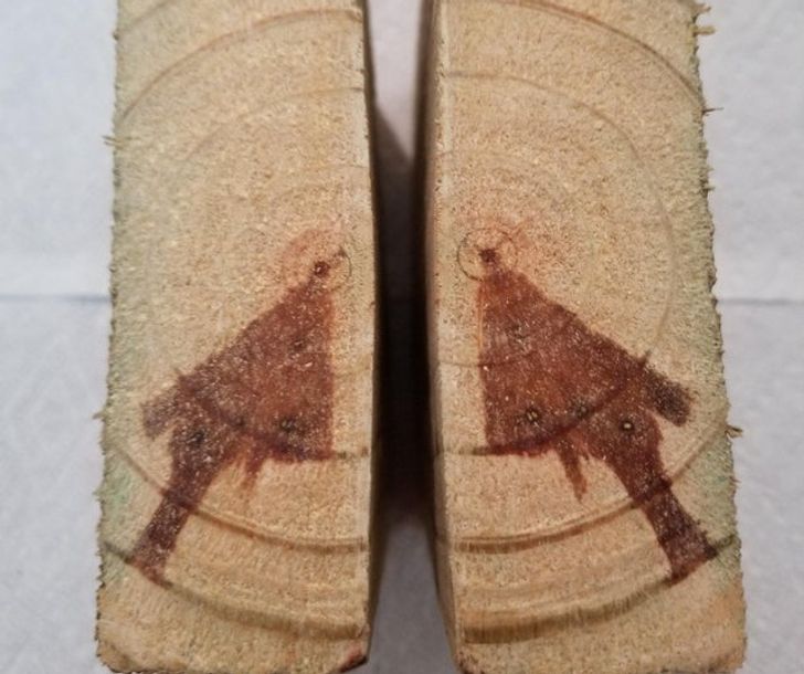 Illustration de l'article : Ces 20 internautes qui ont partagé leurs découvertes sur Internet