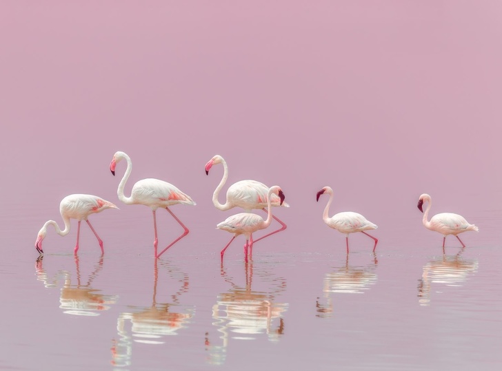Illustration de l'article : Cette sélection des 19 plus belles photos de 2018