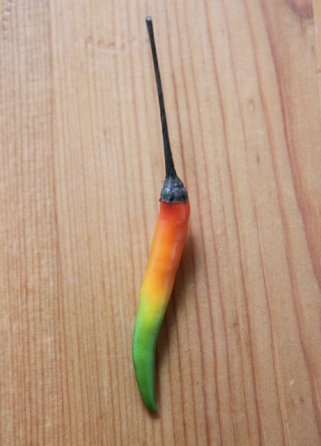 Illustration de l'article : 27 personnes partagent avec vous leurs découvertes incroyables