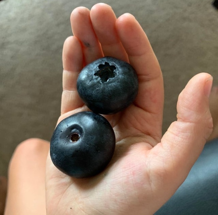 Illustration de l'article : Ces 22 photos saisies au bon moment