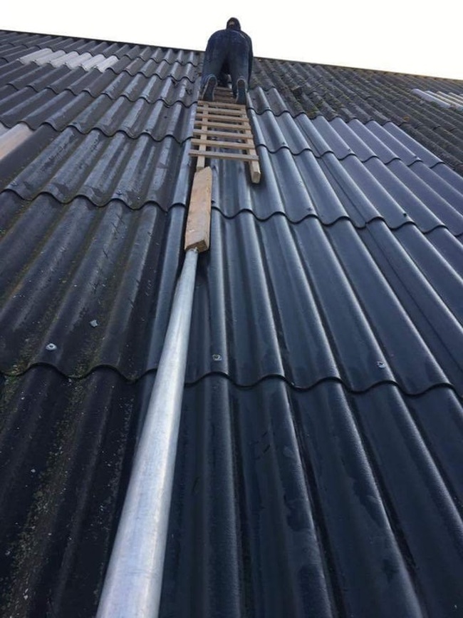 Illustration de l'article : Certains choix sont plus intelligents que d'autres, la preuve en 28 photos