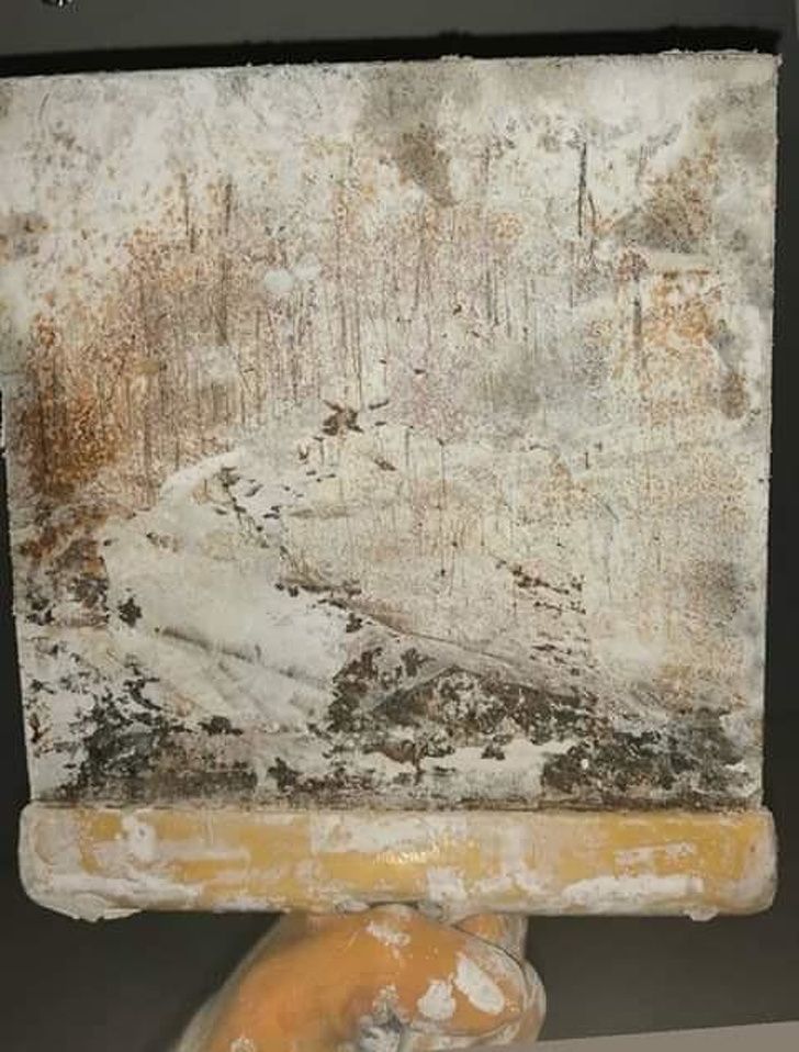 Illustration de l'article : Ces 20 photos qui mettent en avant certaines trouvailles