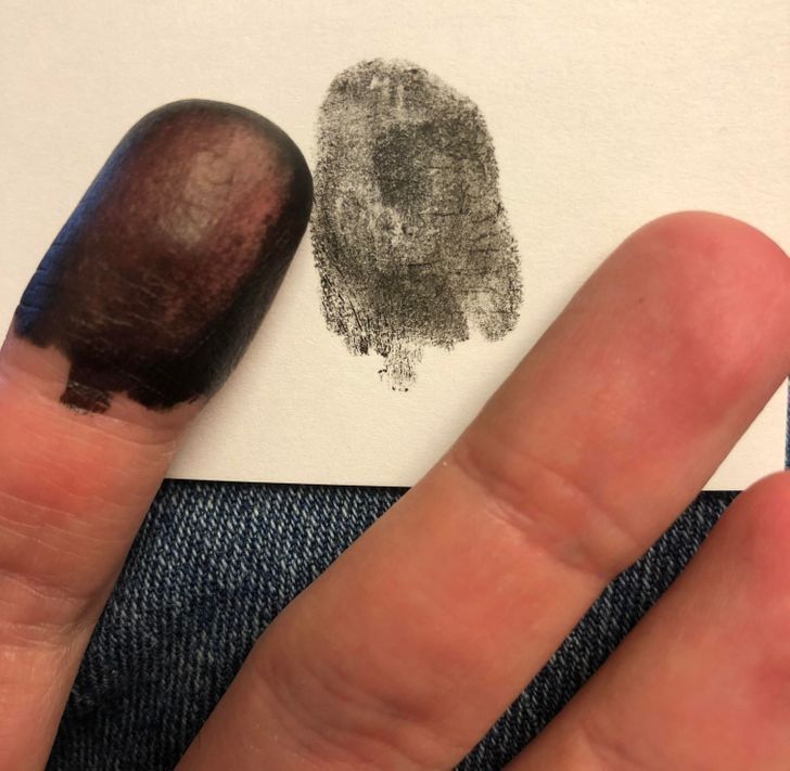 Illustration de l'article : Ces 20 photos qui montrent que la nature a de l'humour 