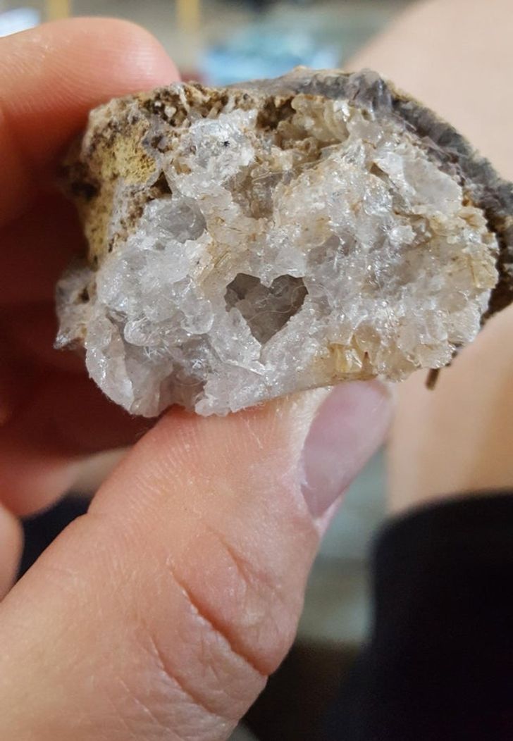 Illustration de l'article : Ces 20 photos qui illustrent les originalités de la nature