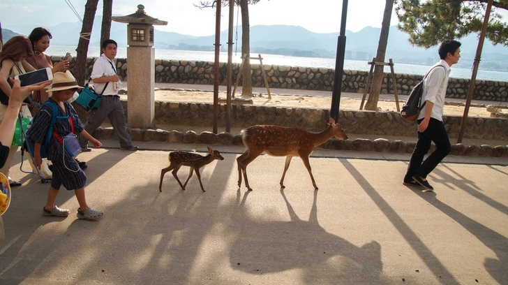 Illustration de l'article : Ces 18 personnes croisées dans la rue et difficiles à ne pas remarquer