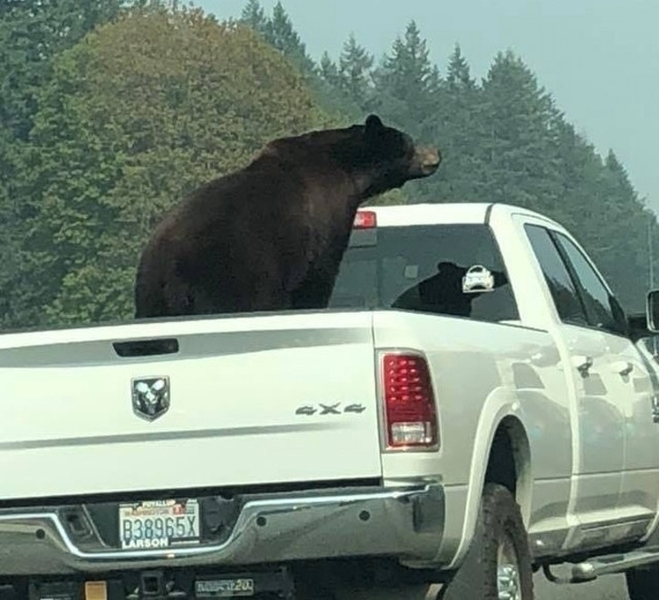 Illustration de l'article : Ces 18 personnes croisées dans la rue et difficiles à ne pas remarquer