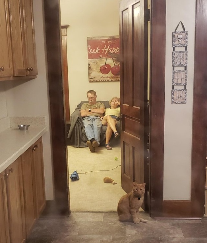 Illustration de l'article : Ces 14 photos qui montrent l'amour du monde