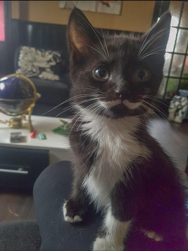 Illustration de l'article : Ces 18 co&iuml;ncidences remarqu&eacute;es dans le monde