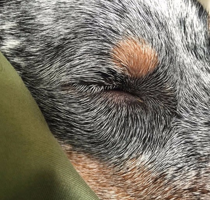 Illustration de l'article : Ces 19 scènes qui pourraient être dans un film d'aventure