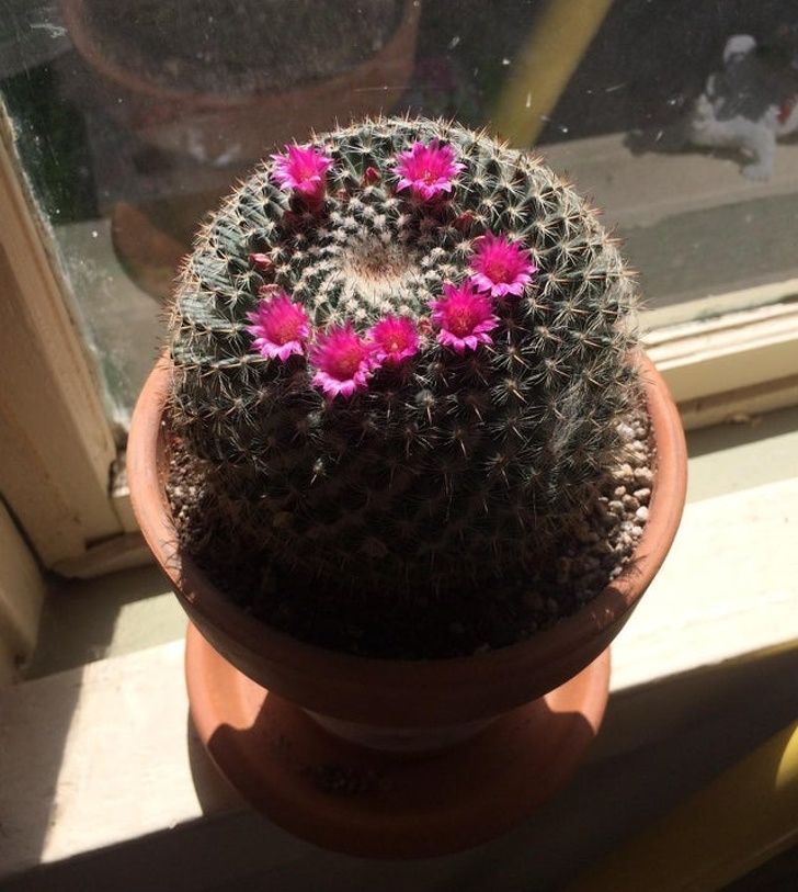 Illustration de l'article : Ces 20 photos qui mettent en avant certaines trouvailles