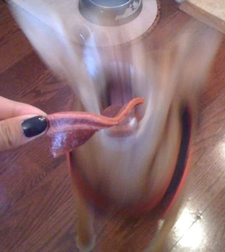 Illustration de l'article : Ces 17 photos prises au bon moment au bon endroit