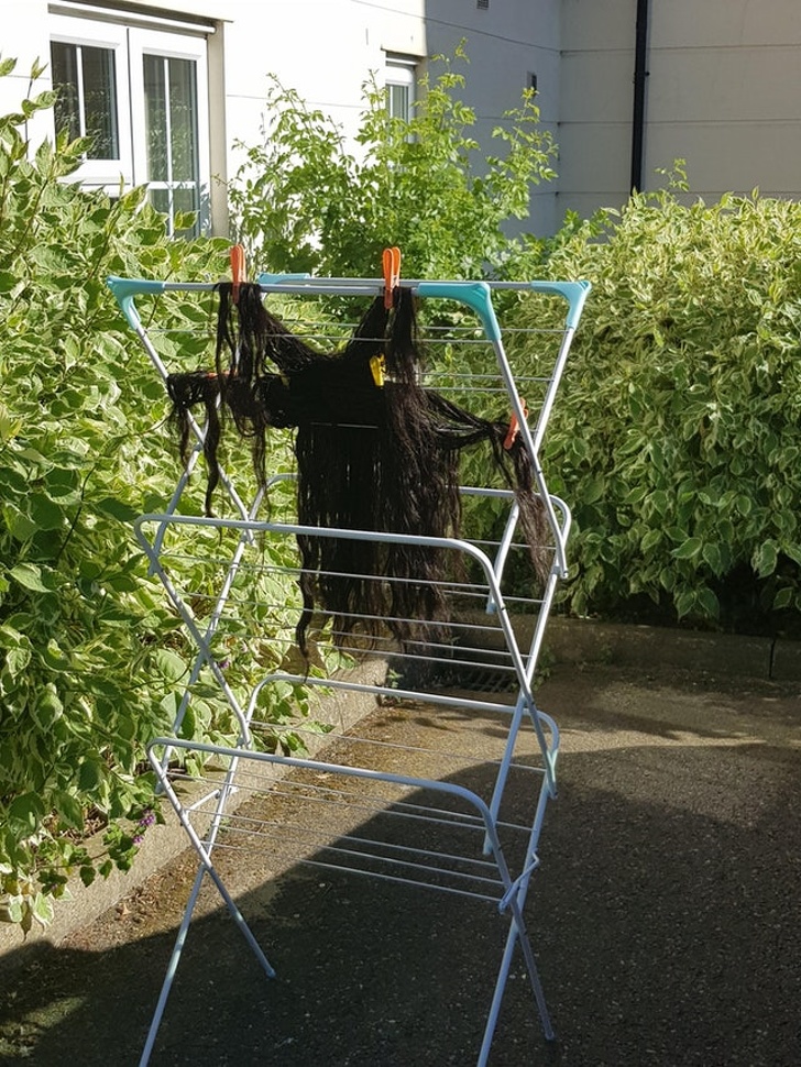 Illustration de l'article : Ces 18 curiosités d'une réalité bien particulière