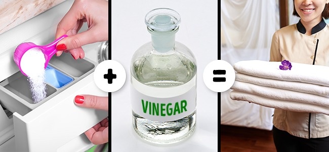 Illustration de l'article : 5 secrets pour laver votre linge efficacement révélés par un hôtel 5 étoiles