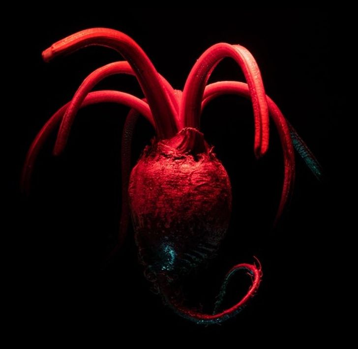 Illustration de l'article : Ces 20 photos qui ne sont pas ce qu'elles semblent &ecirc;tre