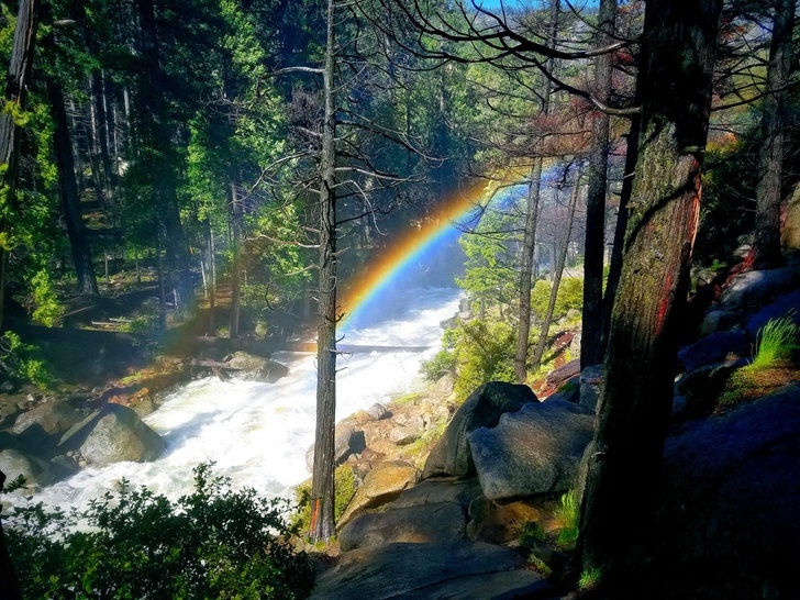 Illustration de l'article : Ces 26 curiosités qui montrent la diversité de notre monde