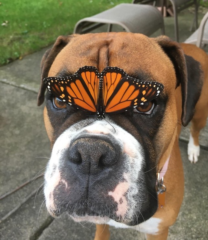 Illustration de l'article : Ces 22 photos qui se rapprochent de la perfection