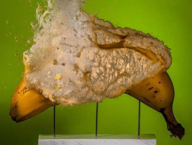 Illustration de l'article : 12 photos d’objets du quotidien transpercés par une balle