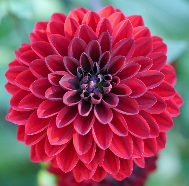 Illustration de l'article : La nature crée de merveilleuses œuvres d’art, comme le montrent ces 31 photos