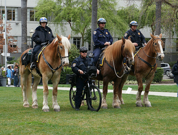 Illustration de l'article : Qui a vraiment le niveau pour trouver l'intrus sur ces 100 photos ? 