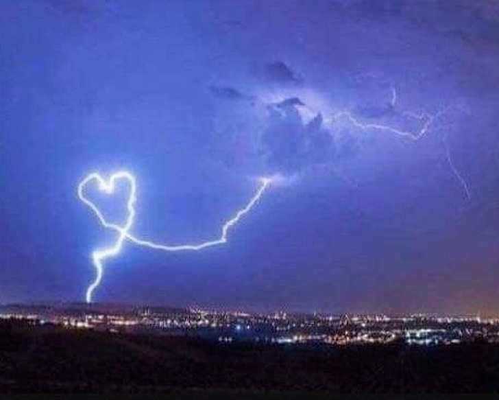 Illustration de l'article : Ces 16 photos dont il est difficile de comprendre la situation