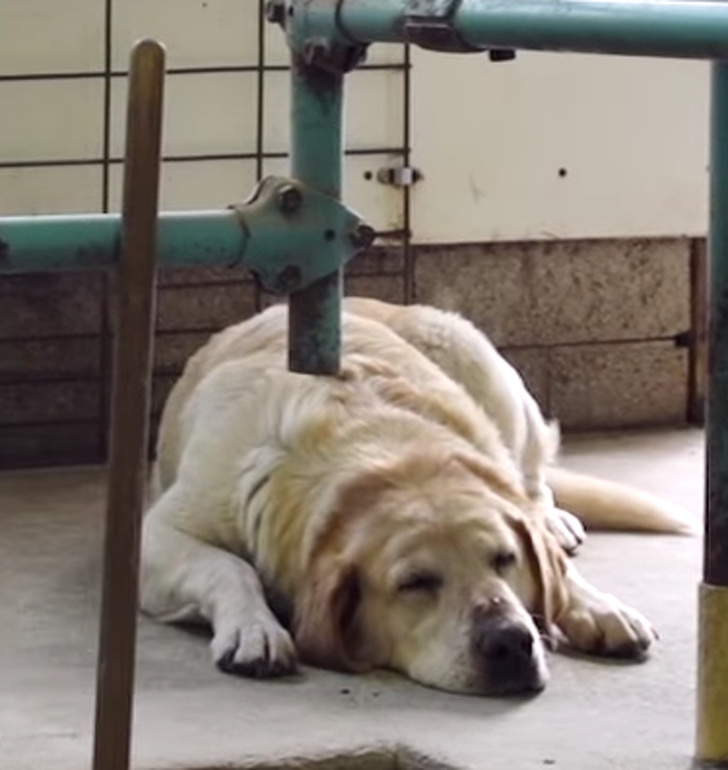 Illustration de l'article : Ces 20 photos présentant des situations particulièrement ambigües