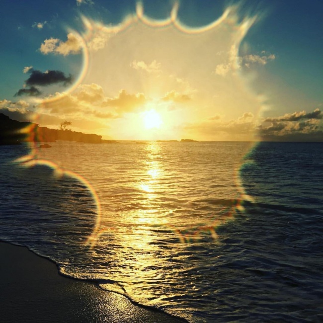 Illustration de l'article : 26 photos captivantes ayant été prises par erreur