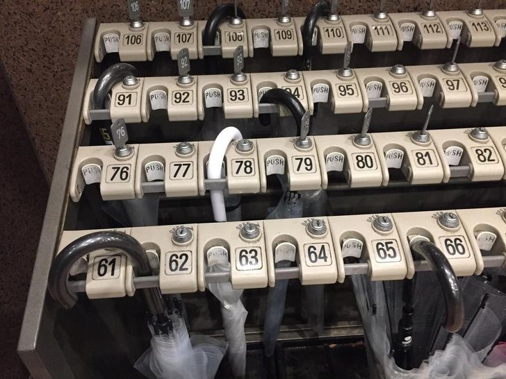 Illustration de l'article : Ces 20 photos qui montrent que les designers ont du talent