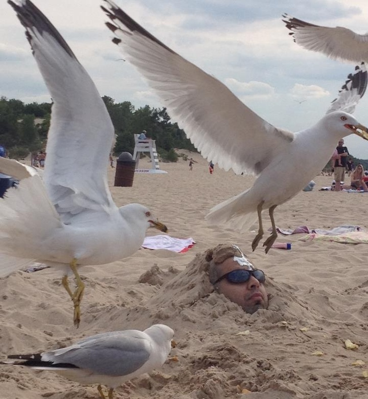 Illustration de l'article : Ces 20 photos de faits dont nous n'avons pas d'explication