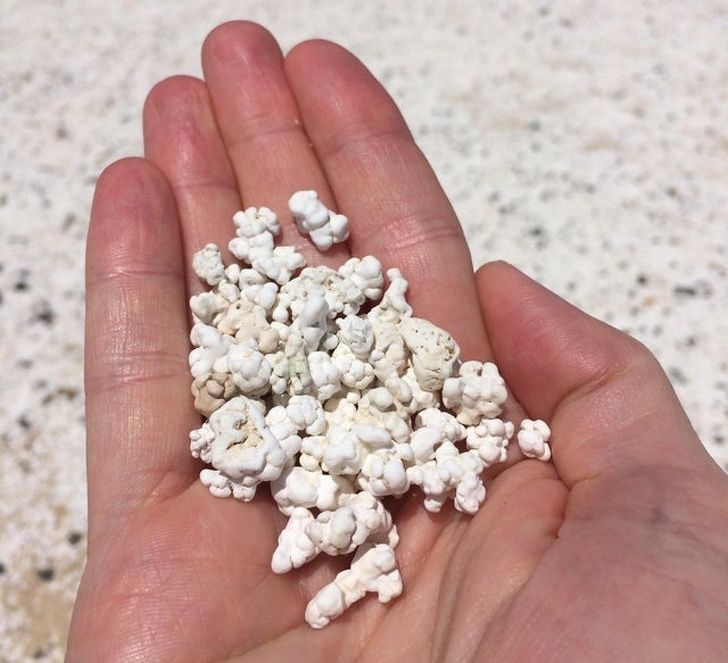 Illustration de l'article : Ces 17 objets qui donnent l'eau &agrave; la bouche mais qui ne sont pas comestibles