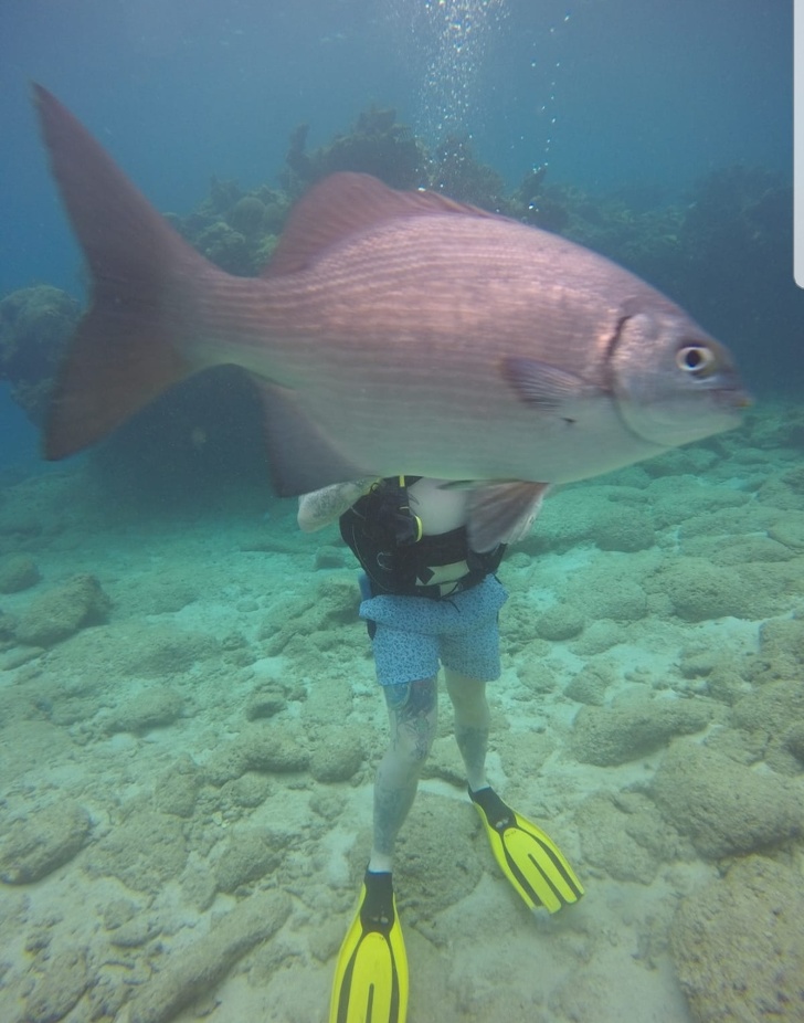 Illustration de l'article : Ces 19 photos devenues mémorables grâce à leur arrière-plan