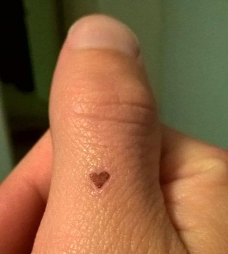 Illustration de l'article : Ces 19 situations où la vie a bien fait les choses