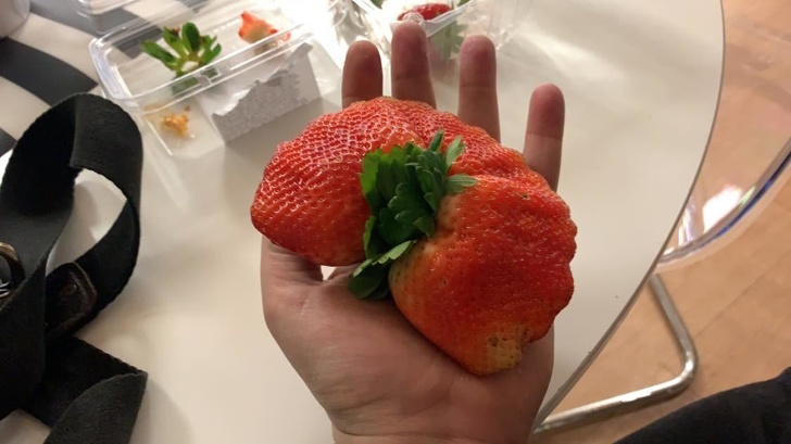 Illustration de l'article : Ces 20 photos qui montrent que la nature peut aussi plaisanter