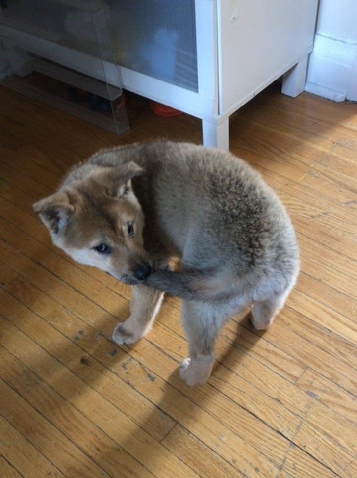 Illustration de l'article : Ces 15 photos attendrissantes qui respirent le bonheur