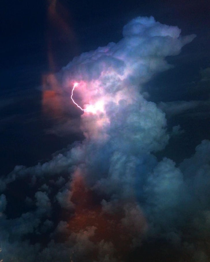 Illustration de l'article : Ces 17 photos qui détendent mieux que n'importe quelle thérapie