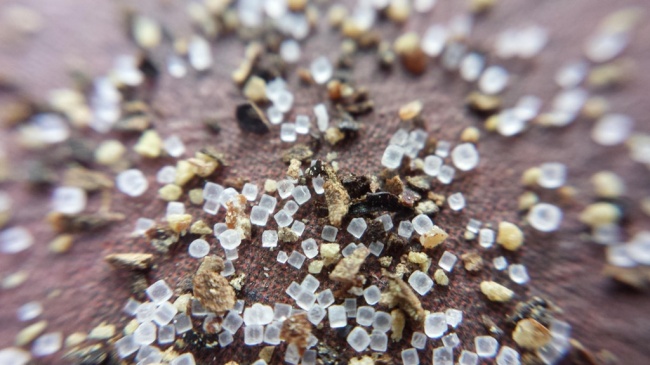 Illustration de l'article : 26 photos de phénomènes rares à voir au moins une fois dans sa vie