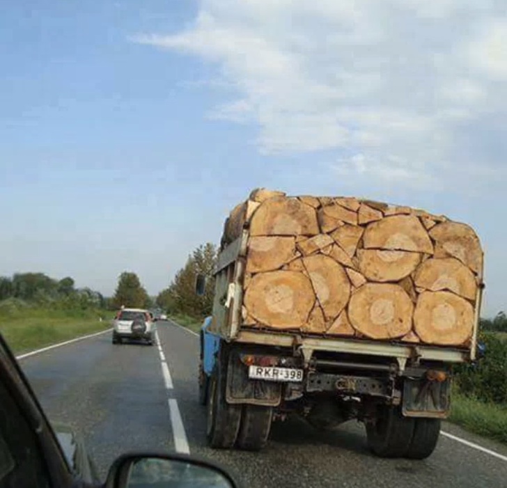 Illustration de l'article : Ces 17 photos qui détendent mieux que n'importe quelle thérapie